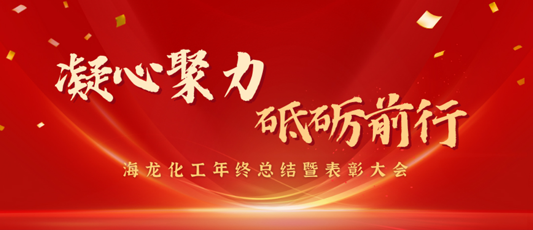 表彰 | 凝心聚力，砥礪前行，海龍化工年終總結(jié)暨表彰大會圓滿舉行