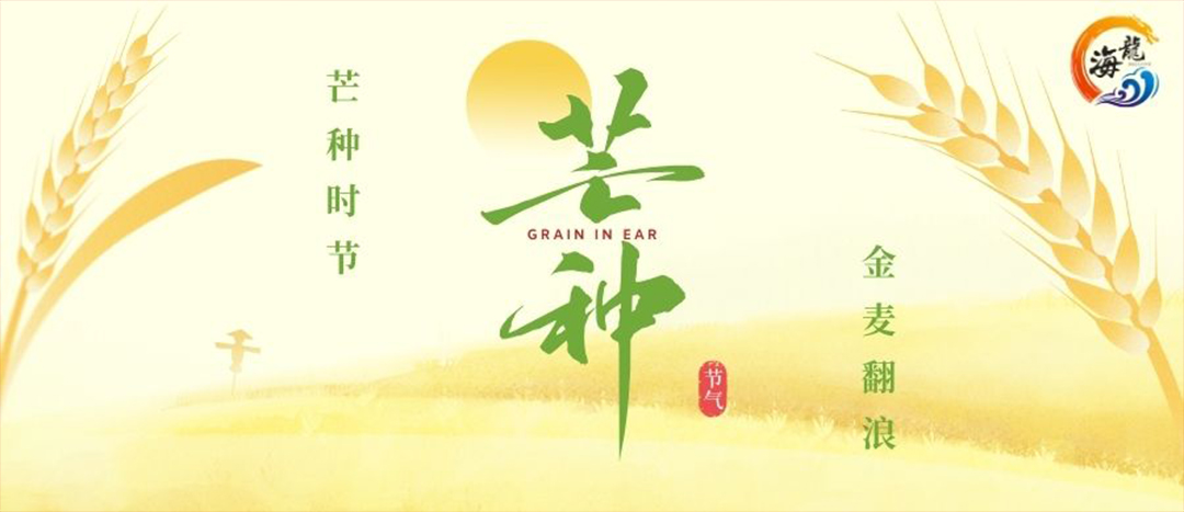 芒種 | 芒種風起 麥浪香